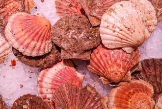 Poissonnerie Moreau Jordy située sur le marché de Talensac à Nantes