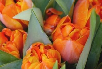 le-jardin-dobree-fleuriste-nantes