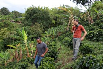 Kultivar Café, torréfacteur à Nantes, place Saint-Félix