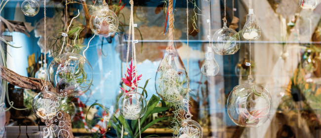 les-demoiselles-de-l-air-fleuriste-nantes