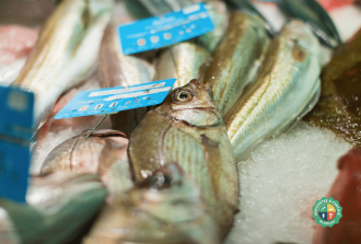 La criee du marche artivisor