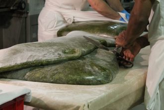 rigolettes-nantaises-artivisor-