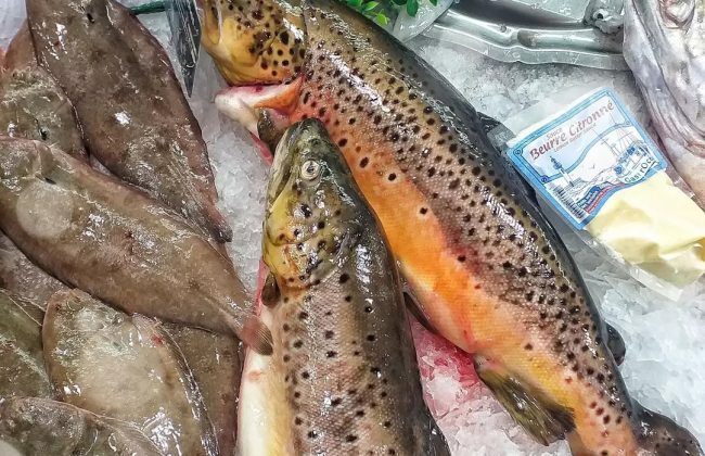 L a T r u ii t e Poissonnier