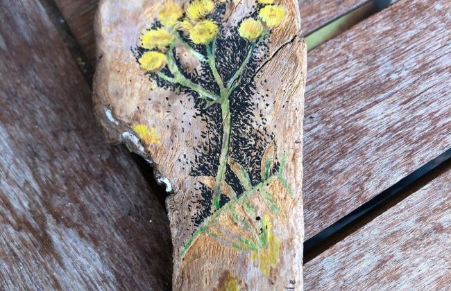 Série corse ☀️ Graphiste Illustrateur