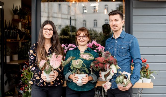 Artisans fleuristes à Nantes par Artivisor