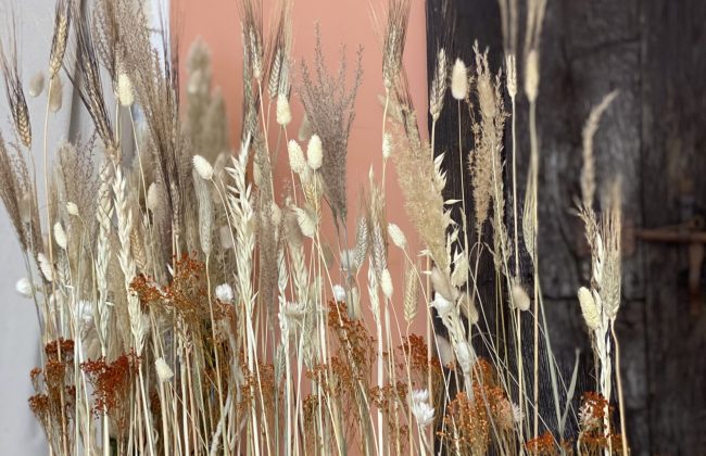 NOUVEAUTÉ EN FLEURS SÉCHÉES 🌾 Décorateur floral Fleuriste