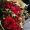 Maxime B Artisan Fleuriste Baptême et naissance Bouquet de deuil Composition florale Décorateur floral Événement Fleuriste Fleurs séchées Mariage Plantes