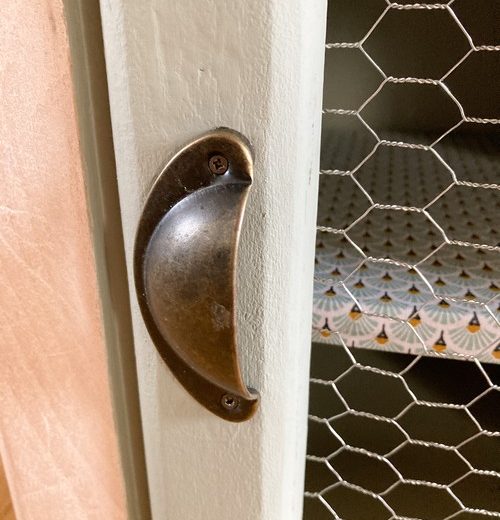 Un papillon sort de sa chrysalide