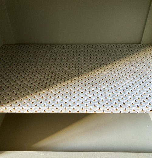 Un papillon sort de sa chrysalide