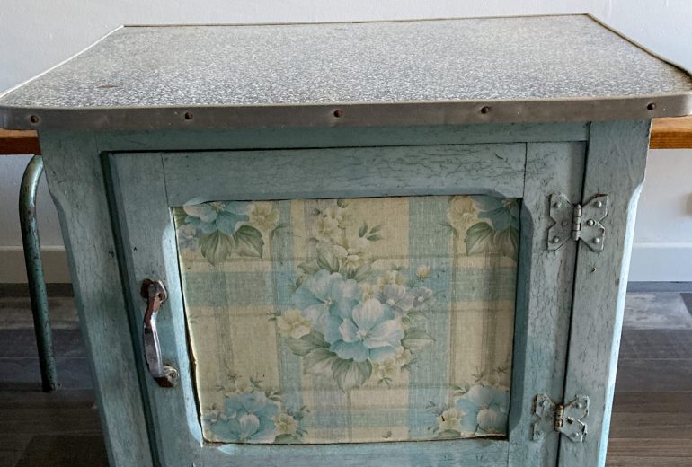 Un papillon sort de sa chrysalide