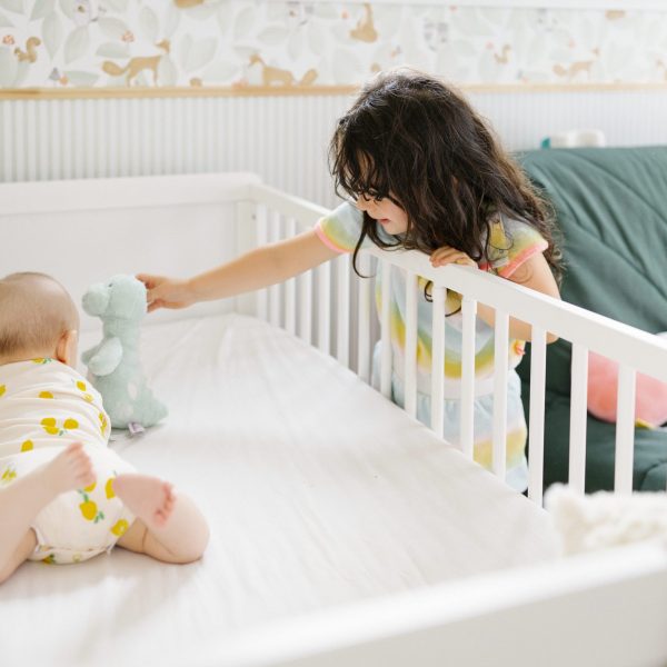 psychologie de l’habitat NANTES