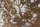 Couleurs de Jade Applicateur Béton Ciré Façades Papier peint Parqueteur Peintre Peintre d'extérieur Peintre d'intérieur Peinture à effet Peinture métallisée Pose Solier moquettiste