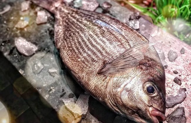 P R E P A R A T I O N Poissonnier