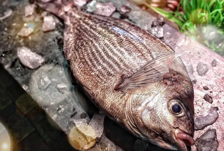 P R E P A R A T I O N Poissonnier