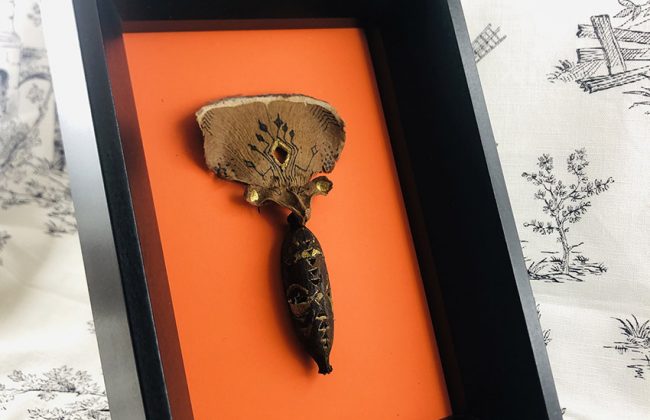 Créations curieuses et encrées Graphiste Illustrateur