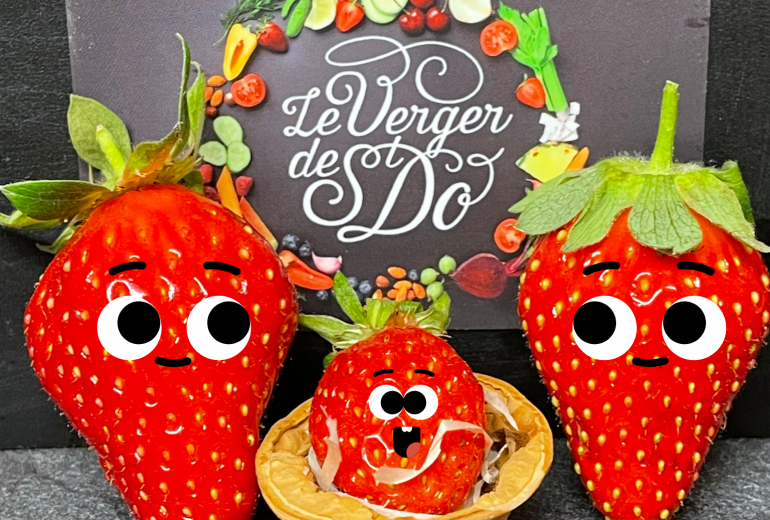 Nouvelle venue à la boutique ! Epicier Primeur