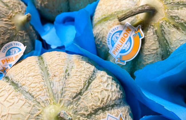 Le Verger de St Do Epicier Primeur