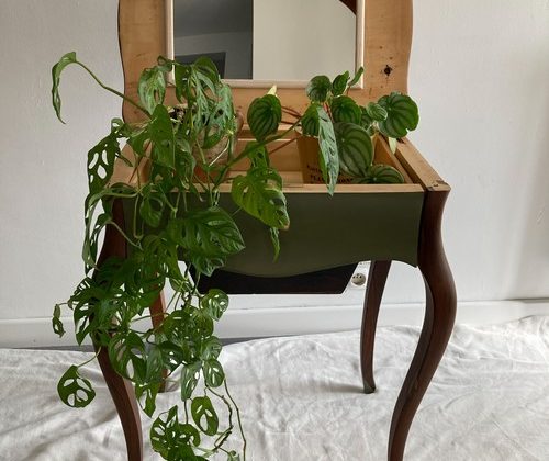 La console jardinière