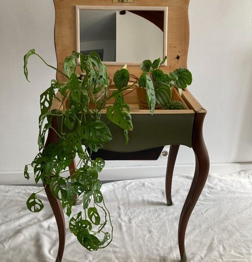 La console jardinière