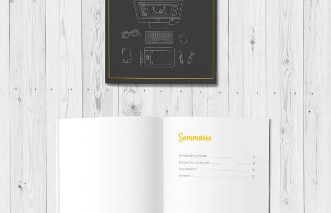 Rapport de stage Graphiste Illustrateur