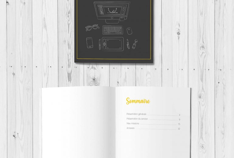 Rapport de stage Graphiste Illustrateur