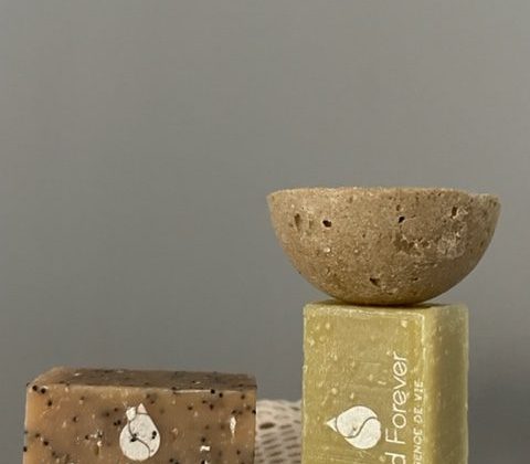 Nouveauté Seed Forever ! Savonnier