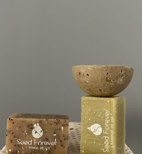 Nouveauté Seed Forever ! Savonnier