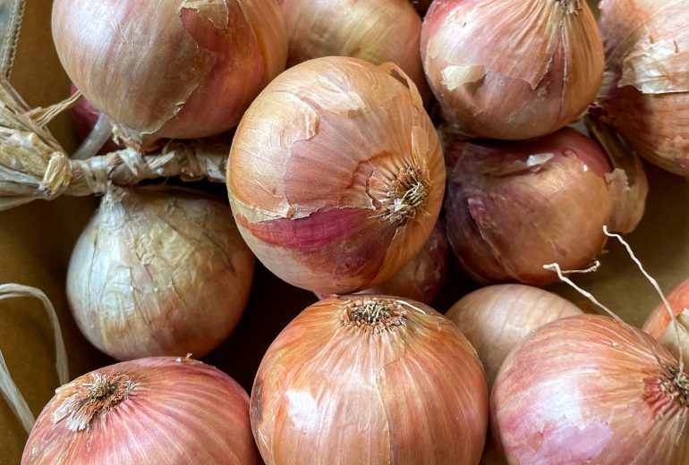 À la rencontre de producteurs bretons Epicier Primeur