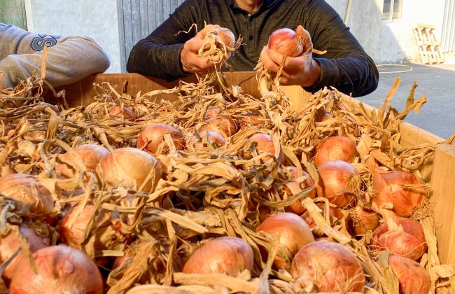 Le Verger de St Do Epicier Primeur