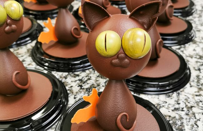 Tilt, notre chat pour Halloween ! Biscuitier Chocolatier Pâtissier