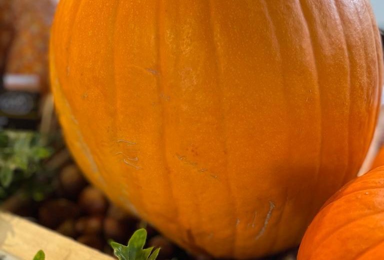 Un bonbon ou un sort ! 🍬🪄 Epicier Primeur