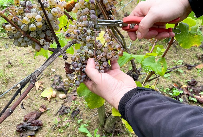 Reconversion le temps d'une journée... Epicier Primeur