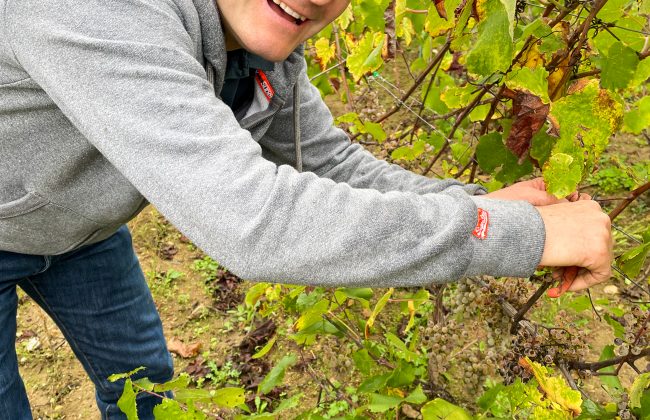 Le Verger de St Do Epicier Primeur