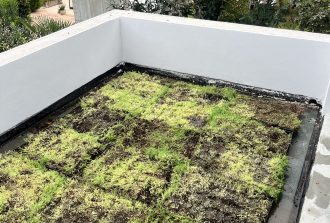 toit vegetalisé nantes