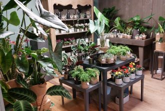 Bourgeon Fleuriste, fleuriste à Nantes