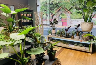 Bourgeon Fleuriste, fleuriste à Nantes