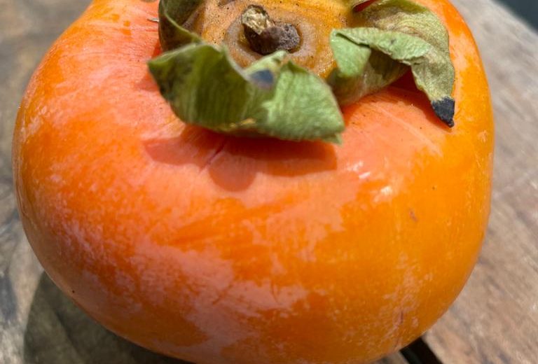 Quel kaki pour qui ? Epicier Primeur