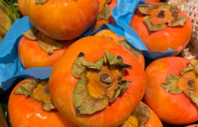 Le Verger de St Do Epicier Primeur