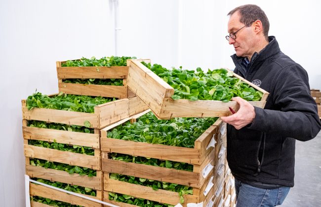 Le Verger de St Do Epicier Primeur