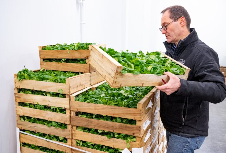 Le saviez-vous ? 🔎 Epicier Primeur