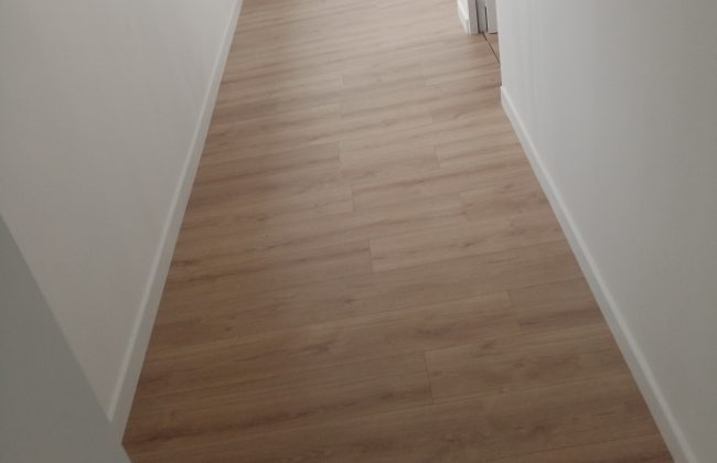 Pose de parquet stratifié avec plinthe hydro Carreleur Façadier Parqueteur Peintre Peintre d'extérieur Peintre d'intérieur