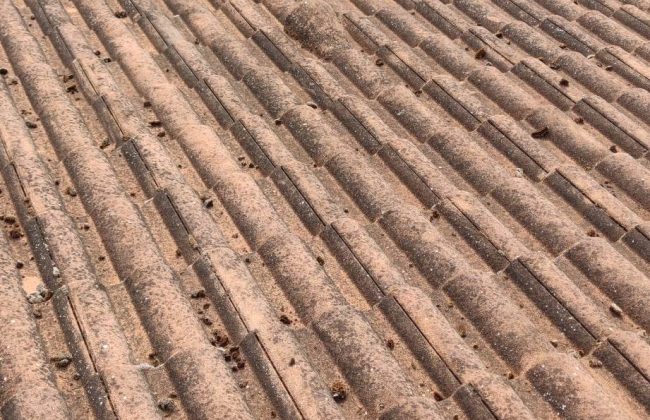 Rénovation toiture tuiles ciment Redland Clisson 44190 Charpentier Couvreur Zingueur