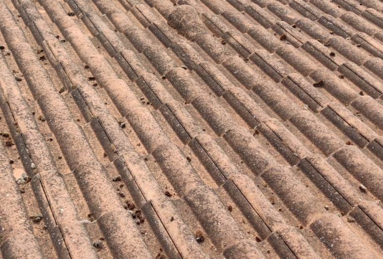 Rénovation toiture tuiles ciment Redland Clisson 44190 Charpentier Couvreur Zingueur