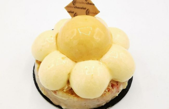 Pâtisserie disponible dès demain ! Biscuitier Chocolatier Pâtissier