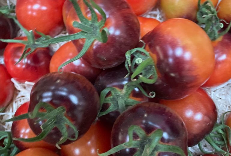 Prêtes et prêts pour un feu d'artifice de couleurs et de saveurs ? Epicier Primeur