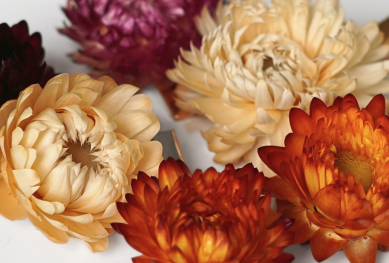 IDEES CADEAUX : Des barrettes personnalisables Créateur d'accessoires Créateur de bijoux créateur de bougies