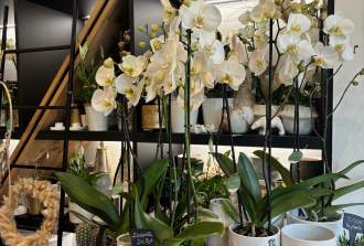 Fleuriste spécialisé à la Chapelle sur Erdre - Fleurette