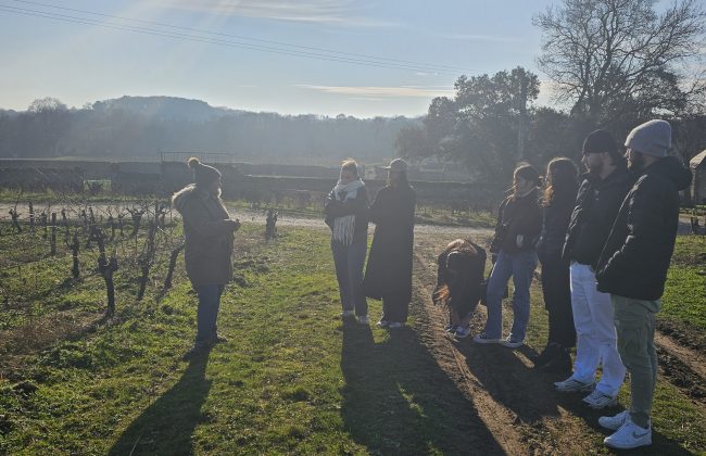 Balade dans les vignes 🍇 Caviste Traiteur
