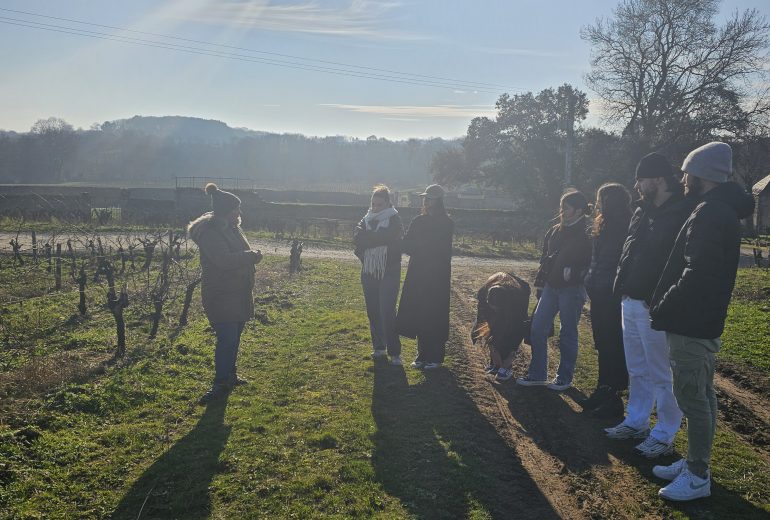 Balade dans les vignes 🍇 Caviste Traiteur