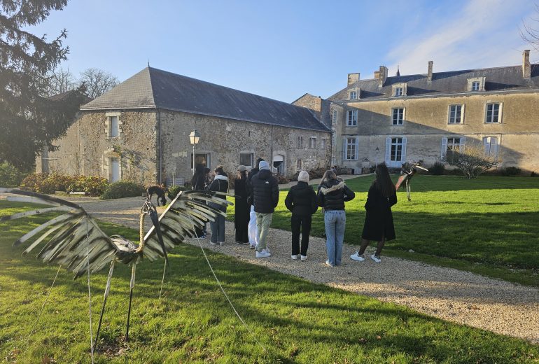 Balade dans les vignes 🍇 Caviste Traiteur